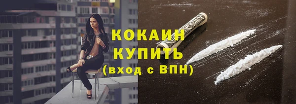 не бодяженный Бородино