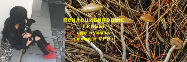 не бодяженный Бородино