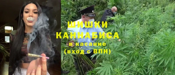 не бодяженный Бородино
