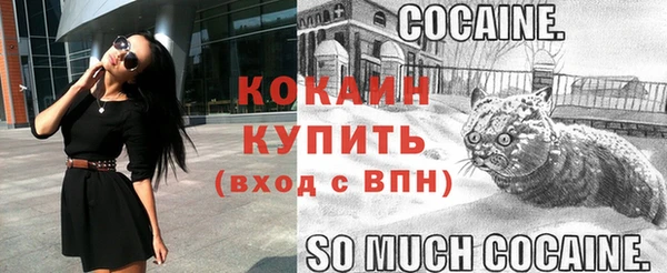 не бодяженный Бородино