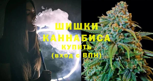 не бодяженный Бородино