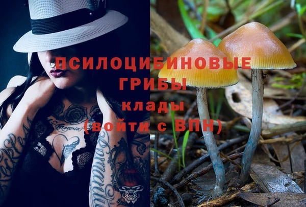 mdpv Бронницы